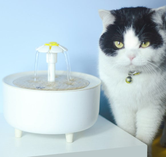 Automatischer Trinkbrunnen für Katzen mit Filter
