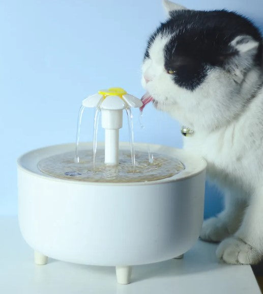 Automatischer Trinkbrunnen für Katzen mit Filter